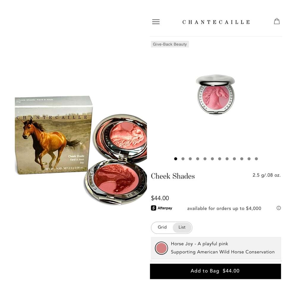 Chantecaille Philanthropy Cheek Shade in Joy (Wild Horse). NIB! - Picture 12 of 12